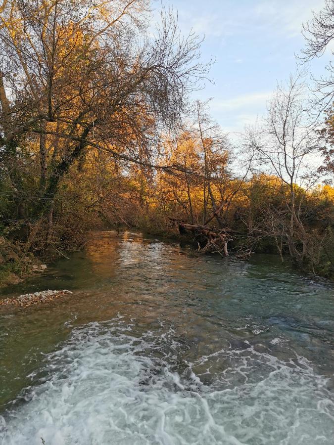 L'Arbre Qui Chante Saint-Etienne-de-Sermantin Dış mekan fotoğraf
